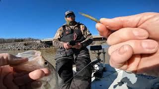 Pre-Spawn Crappie Fishing/Fishing With Wildlife Adventures