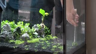 Planted Aquarium 630 L 200x45x70 cm