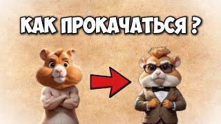  САМАЯ БЫСТРАЯ ПРОКАЧКА В HAMSTER KOMBAT / Боты для прокачки в Хамстер Комбат