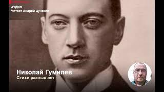 Николай Гумилев. Стихи разных лет. Читает Андрей Цунский