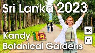 Kandy  Royal Botanical Gardens [ 4K ] Walking Tour