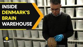 Denmark's unusual collection of almost 10,000 brains I WION Originals