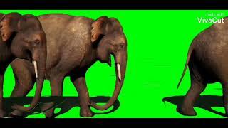 Jumanji Stampede Green Screen