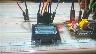 SPI OLED with STM32 Black Pill Board