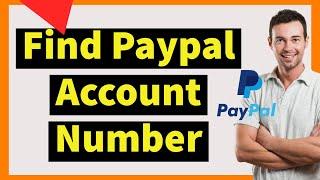 How To Find Paypal Account Number 2024 (Easy)