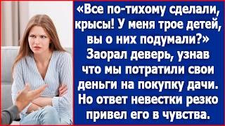 Крысы, по-тихому себе дачу купили, а о моих детях подумали? Заорал брат мужа.