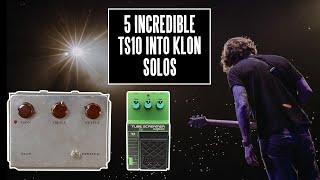 When John Mayer Goes TS Into Klon It’s Incredible | 5 Solo Examples