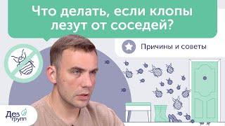 Что делать, если клопы лезут от соседей? Причины и советы | Клопы в квартире Дезинсекция Дезинфекция