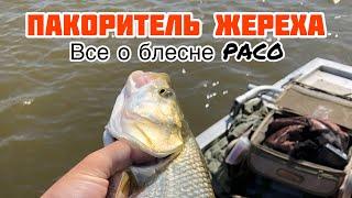 ЖЕРЕХ НА БЛЕСНУ PACO Pontoon 21 | ВСЕ О БЛЕСНЕ PACO