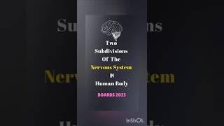 SUBDIVISIONS OF THE HUMAN NERVOUS SYSTEM : BOARDS 2025 #shorts #exam  #nervoussystem #boards2025