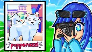 Taking PHOTOS Of RANDOM DOGS In Pupperazzi!