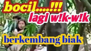 LIHAT KEBERADAAN BOCIL BERKEMBANG BIAK PINGGIR SUNGAI ANGKER