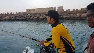 Barracuda Fishing in Chennai with Poseidon Sport Fishing