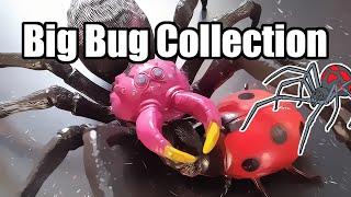 Bug Toys - Insect Collection - Spider Ladybird Bee Beetle Butterfly Dragonfly Praying Mantis Rhino B