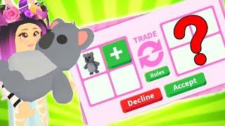 What People TRADE for Aussie Pet KOALA in Roblox Adopt Me