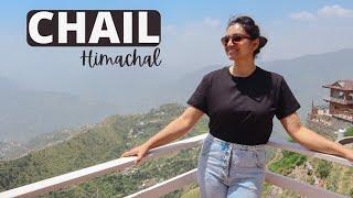 CHAIL - An Offbeat Himachal | Chail Palace | Kali Tibba Chail | Himachal Pradesh