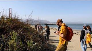 City Nature Challenge 2023 | California Academy of Sciences