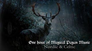 Nordic ambience - Viking and Pagan music -  One hour of relaxing & enchanting ambient folk