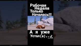 уже спина устала