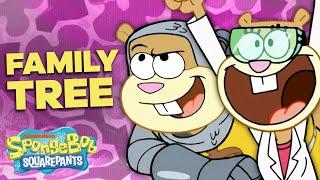 The SANDY CHEEKS Family Tree ‍ SpongeBob SquarePants