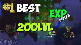 BEST EXP SPAWNS FOR LEVEL 200 PALADINS! #1 EPISODE: ORAMOND WEST TIBIA
