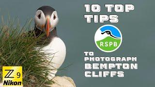 10 Tips for Photographing Bempton Cliffs