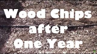 Wood Chip Gardening After One Year. The Good and the Bad.