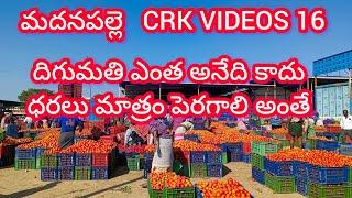 26/12/24 Madanapalle Tomato stock details  మదనపల్లె టమాటా రేట్లు #crkvideos16 #tomatoprices