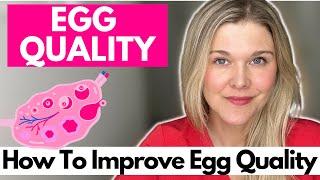 Egg Quality: How To Improve Your Egg Quality