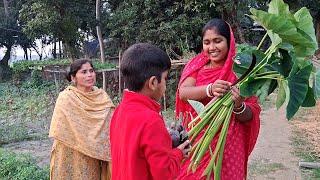 আাজ বাড়ী থেকে আসার সময় কি কি নিয়ে আসলাম | Our Simple Village Tour Vlog