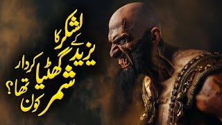 Karbala Me Shimr Bin Zil-jawshan Ka Ghatiya Kirdar | Shimr Ka Anjam | Shimr Ki Mout | Meezan