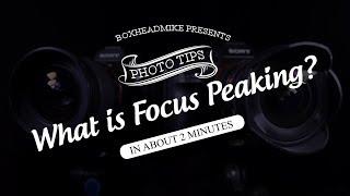 What is focus peaking? (Sony A7iii Mirrorless)