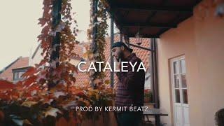 SAMRA Type Beat // CATALEYA prod. by Kermit Beatz