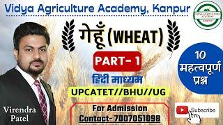 गेहूँ (WHEAT)//Part-1//10 महत्वपूर्ण प्रश्न//Virendra Patel//Vidya Agriculture Academy, Kanpur