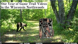 Chequamegon-Nicolet National Forest  - Game Trail Camera Videos