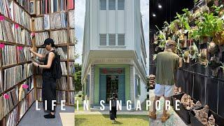 Life in Singapore | February 2025 Vlog