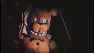 Paranormal Report [FNAF/VHS]