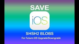 How to Save SHSH2 Blobs On A12/A13 Devices Using Windows! (XS, XS Max, And XR)