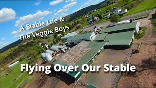 Flying In The Skies Over A STABLE LIFE & THE VEGGIE BOYS