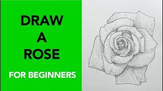 Draw a rose!