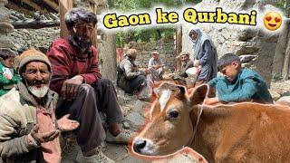 Eid ul Adha Qurbani in Pakistani remote village | Gilgit Baltistan Traditional Eid | Thagas valley