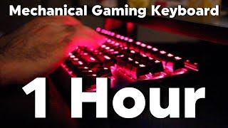 Cherry MX Red Switch Sound - 1 Hour FAST Typing - ASMR Mechanical Keyboard