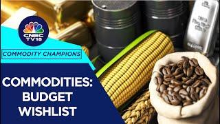 Countdown To Union Budget 2024: What Are Commodity Market's Expectations | CNBC TV18