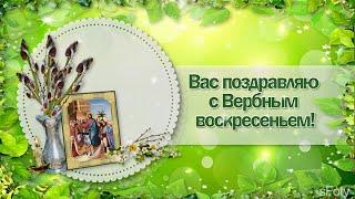 Вас поздравляю с Вербным воскресеньем!Пусть нас верба хранит от бед!