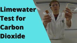 To Investigate the Carbon Dioxide Levels of Inhaled and Exhaled Air - Limewater Test