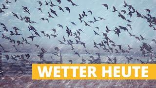 Wetter heute: Grau in Grau mit Regen