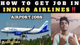 How To Get Job in INDIGO AIRLINES | FRESHERS | Tamil |