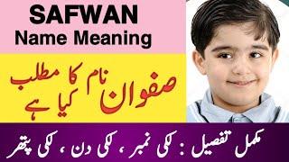 Safwan Name Meaning In Urdu || صفوان Safwan Naam Ka Matlab Kya Hai ||