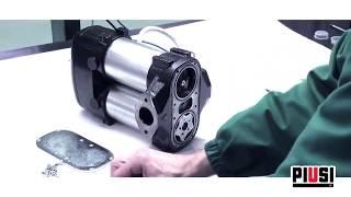 Piusi Bi Pump Diesel Transfer Pump - Vanes Replacement