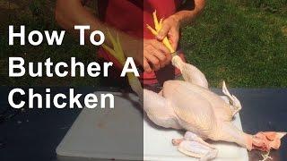 How to Butcher a Chicken: Step by Step